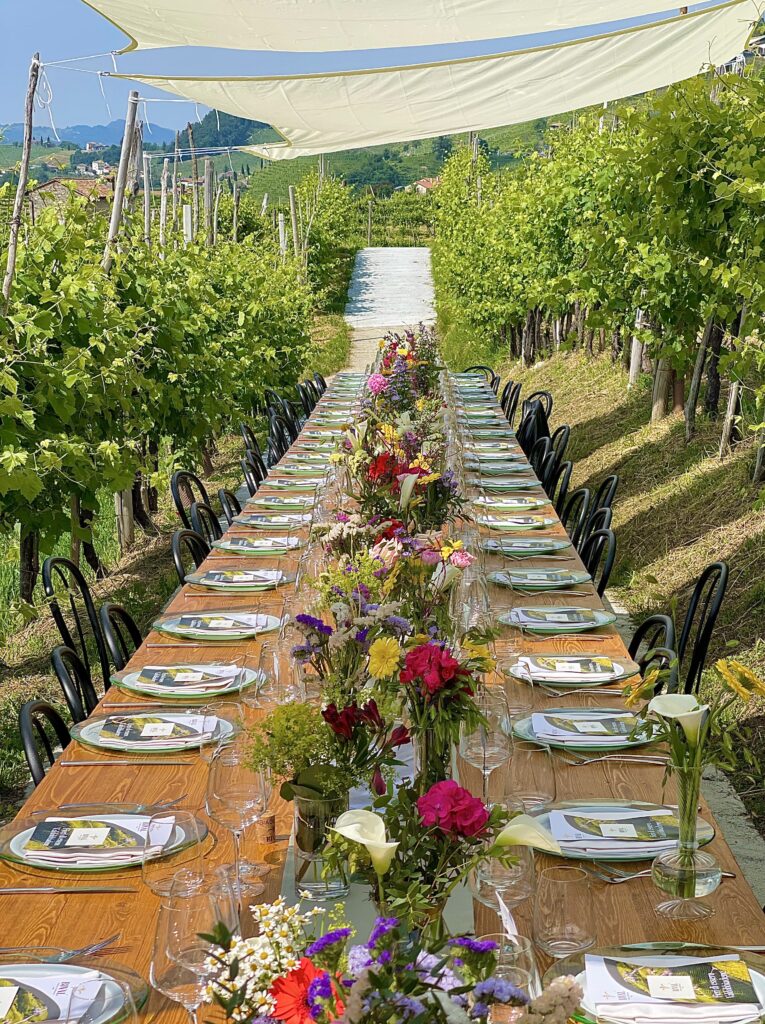 Pranzo in vigna nel vigneto Bival Valdobbiadene