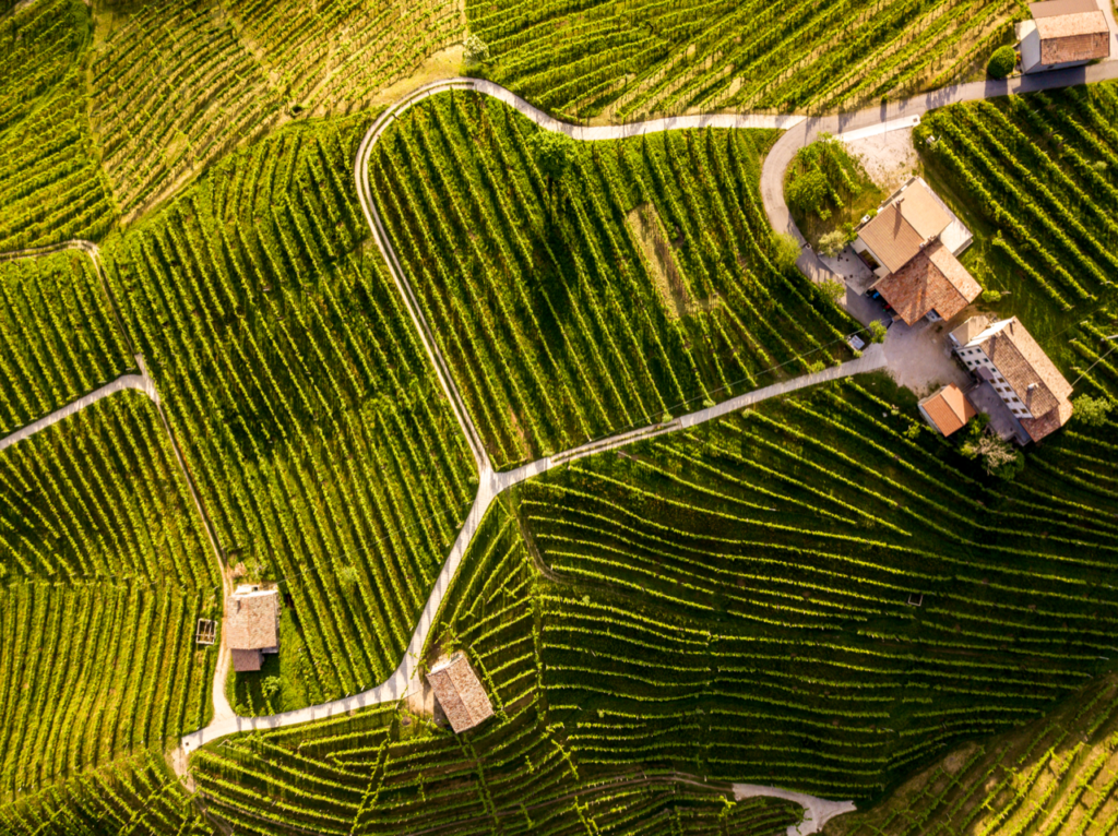 Vista drone della cantina e del vigneto Bival in Valdobbiadene DOCG